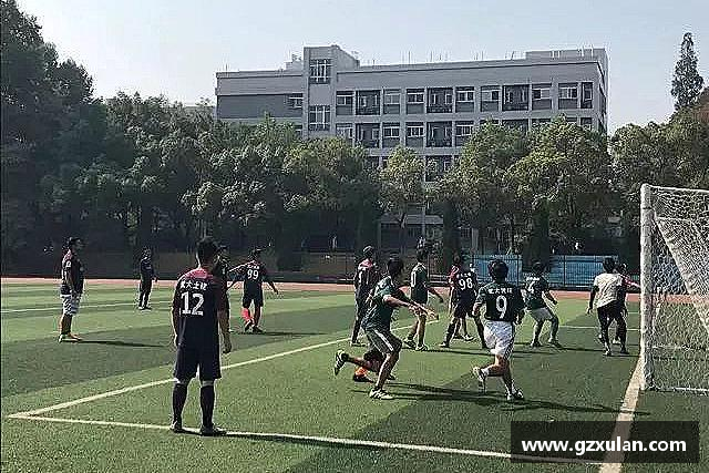发现九游体育